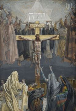Collection image